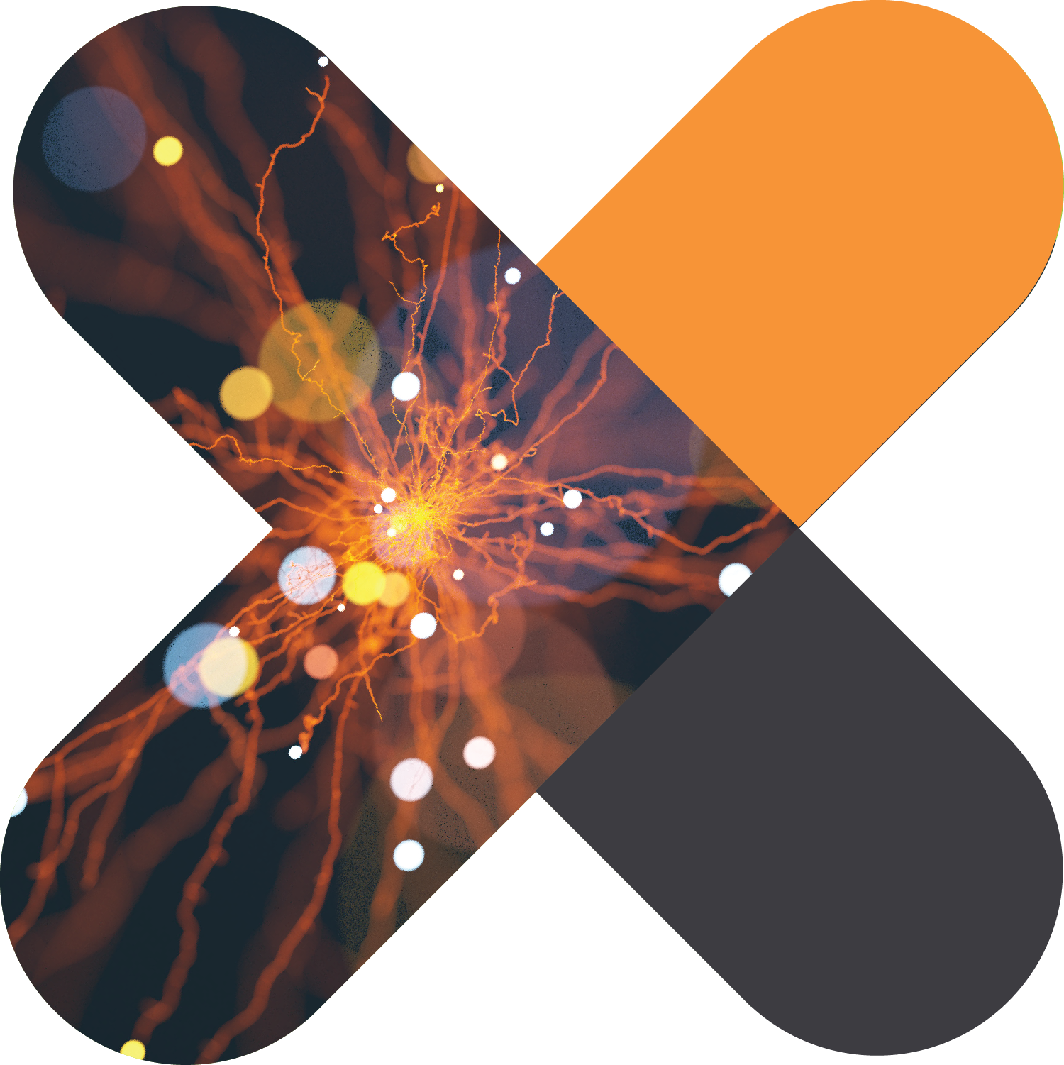 CEDA Harnessing science X technology to drive Australian innovation